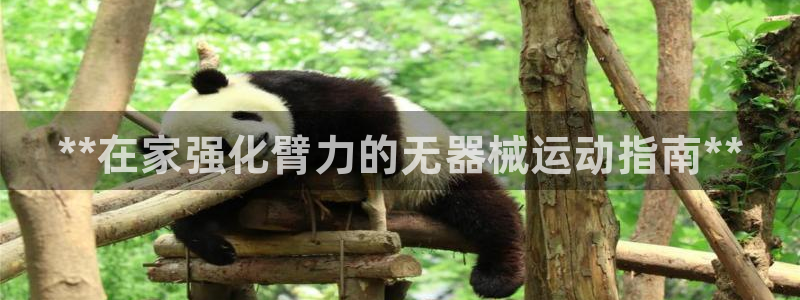 凯时平台怎么样:**在家强化臂力的无器械运动指南**