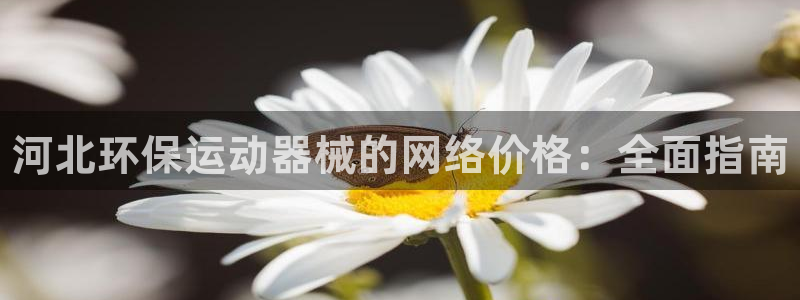 尊龙光学怎么样:河北环保运动器械的网络价格:全面指南