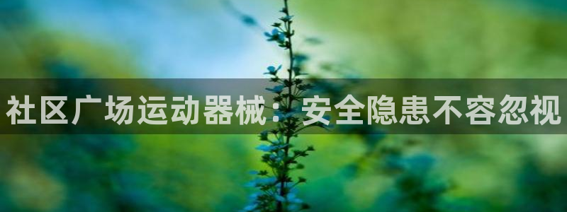 尊龙人生就是博官网登录手机:社区广场运动器械:安全隐患不容忽